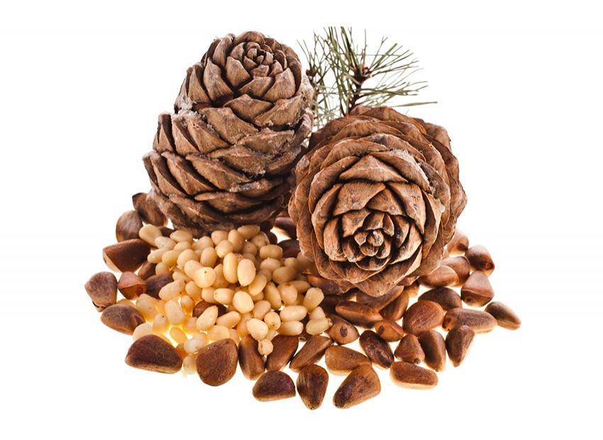 Pine Nuts