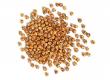 Double Roasted Yellow Chickpeas