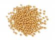 Raw Yellow Chickpeas