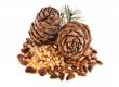 Pine Nuts