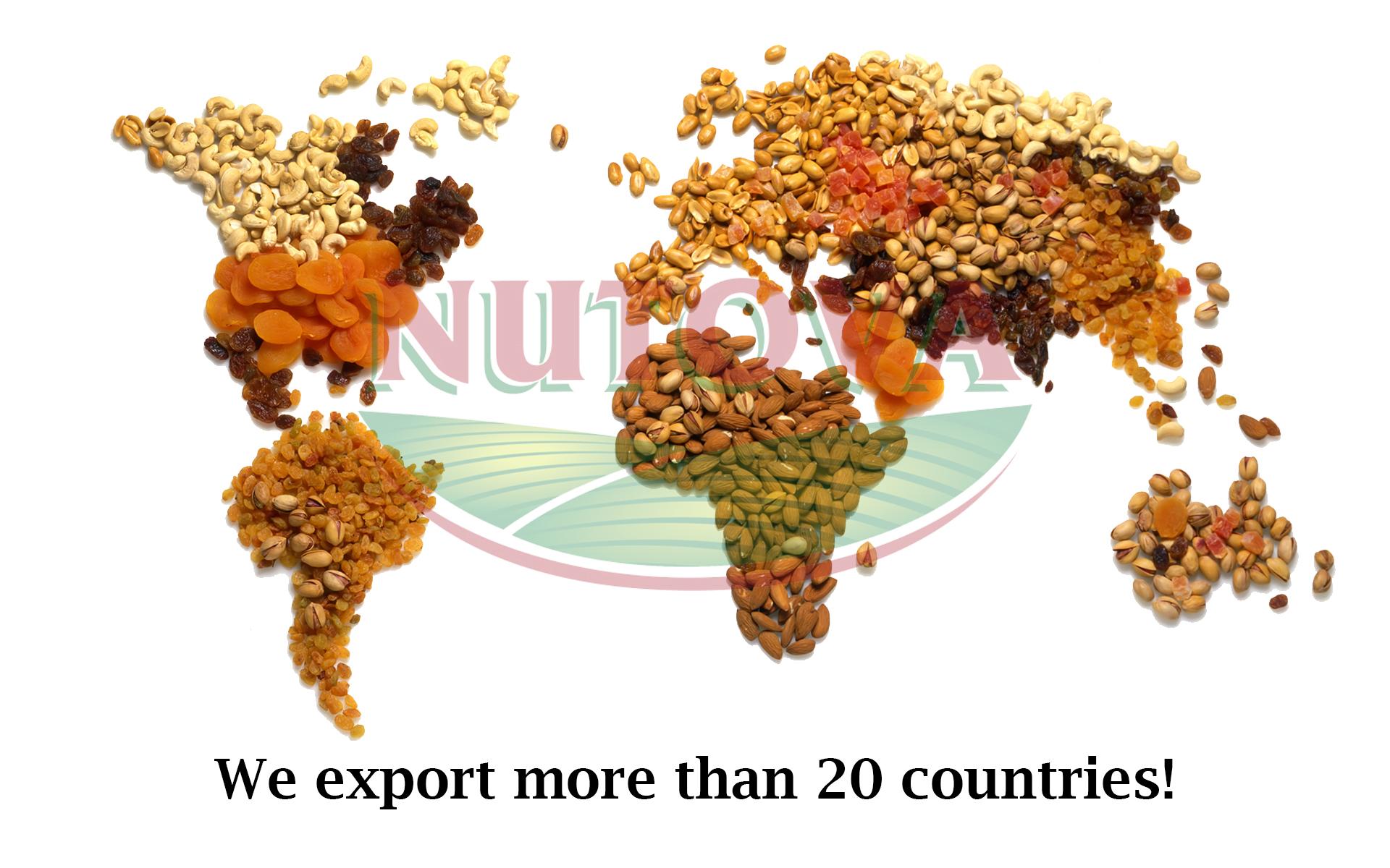 export